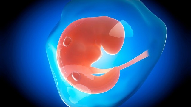 bai-viet/thai-cham-phat-trien-o-nhung-tuan-dau-co-sao-khong.html