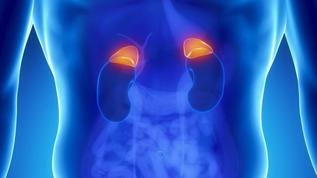 bai-viet/pheochromocytoma-la-benh-gi-trieu-chung-va-phuong-phap-dieu-tri-hieu-qua.html