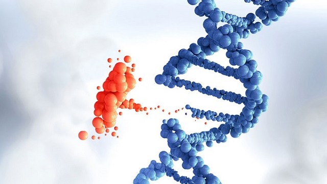 bai-viet/the-tam-boi-la-gi-nguyen-nhan-dau-hieu-va-cach-chan-doan.html