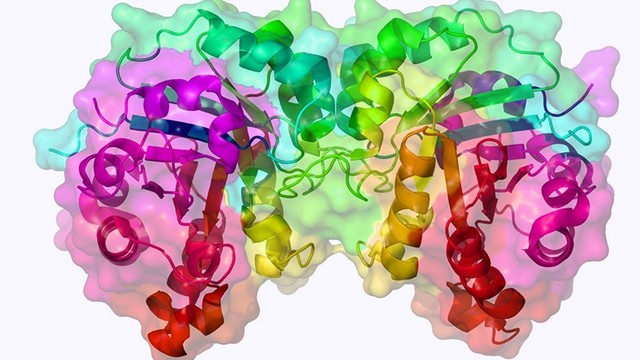 bai-viet/thieu-enzyme-tieu-hoa-o-tre-nguyen-nhan-hau-qua-va-dieu-tri.html
