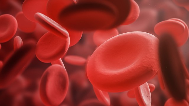 bai-viet/thieu-mau-thieu-sat-nen-an-gi-nhung-thuc-pham-cho-nguoi-bi-thieu-mau-thieu-sat.html