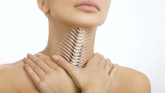 bai-viet/thuc-hu-ve-cach-lam-tan-xuong-ca.html