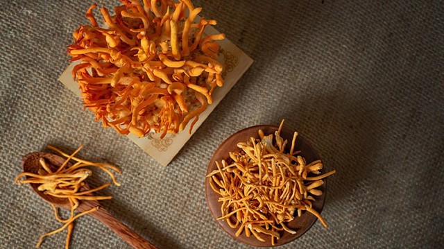 bai-viet/thuc-hu-viec-dong-trung-ha-thao-chua-benh-ung-thu.html