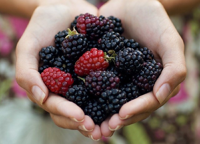 bai-viet/thuc-pham-giau-chat-xo-cho-be-30791.html