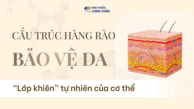 bai-viet/infographic-cau-truc-hang-rao-bao-ve-da-lop-khien-tu-nhien-cua-co-the.html