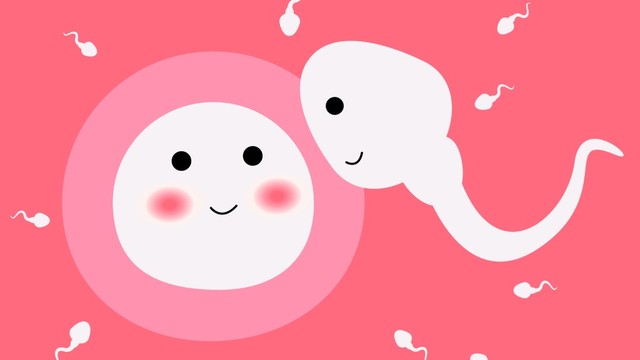 bai-viet/thuoc-bo-trung-giai-phap-toi-uu-cho-suc-khoe-sinh-san-nu-gioi.html