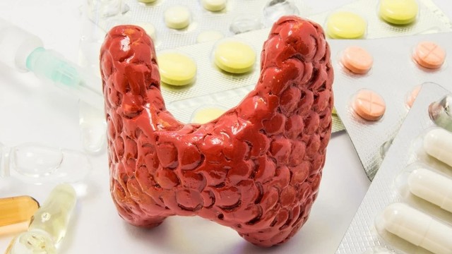 bai-viet/thuoc-tri-tuyen-giap-va-nhung-luu-y-khi-su-dung-thuoc-tri-tuyen-giap.html