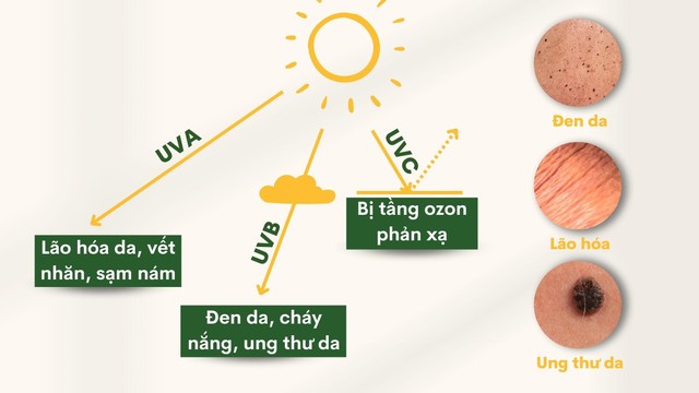 bai-viet/tia-uv-co-may-loai-anh-huong-cua-tung-loai-doi-voi-suc-khoe-nhu-the-nao.html