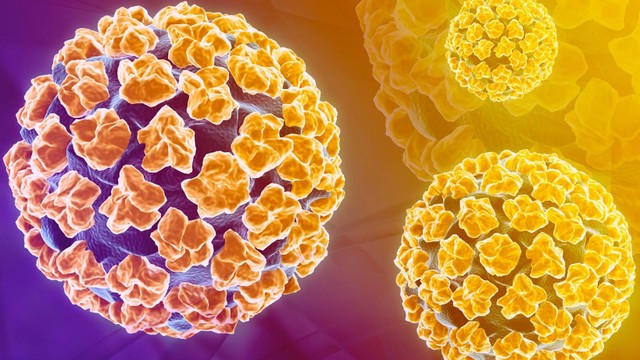 bai-viet/tiem-vac-xin-hpv-o-dau-tai-quan-ha-dong-an-toan-va-dam-bao-chat-luong.html