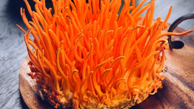 bai-viet/tieu-duong-co-uong-duoc-dong-trung-ha-thao-khong-ban-da-biet-chua.html