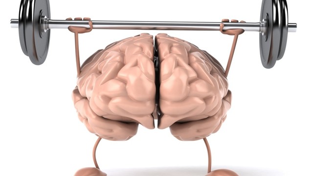 bai-viet/tim-hieu-ban-cau-nao-trai-co-chuc-nang-gi-63060.html