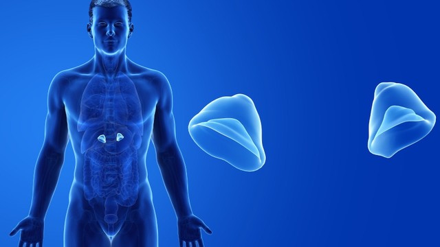 bai-viet/tim-hieu-dau-hieu-va-cach-dieu-tri-benh-tang-san-thuong-than-bam-sinh.html