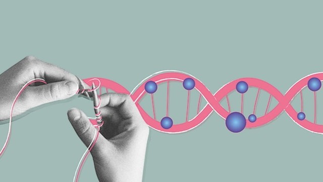 bai-viet/methyl-hoa-la-gi-vai-tro-cua-methyl-hoa-doi-voi-suc-khoe.html