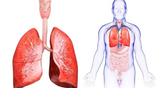 bai-viet/tim-hieu-phuong-phap-noi-soi-phe-quan-dat-van-mot-chieu.html