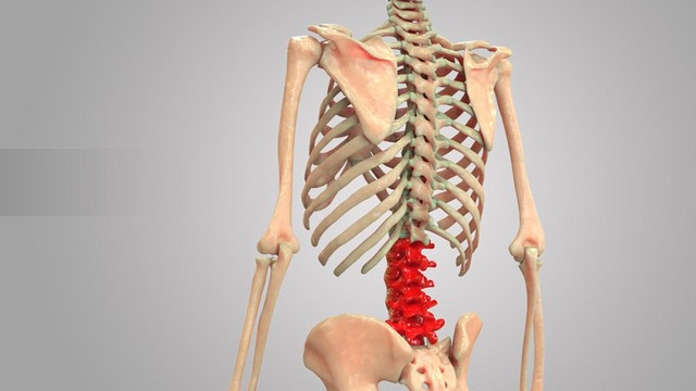 bai-viet/tim-hieu-ve-dac-diem-cua-cac-dot-song-that-lung.html