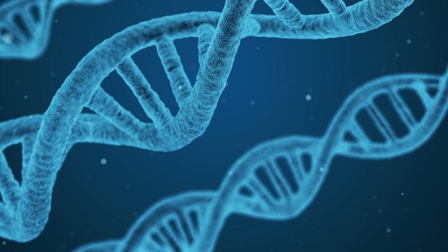 bai-viet/tim-hieu-ve-hoi-chung-nguoi-hoa-da.html