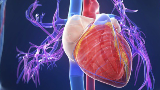 bai-viet/tim-hieu-ve-tang-sinh-co-be-that-trai-qua-muc.html