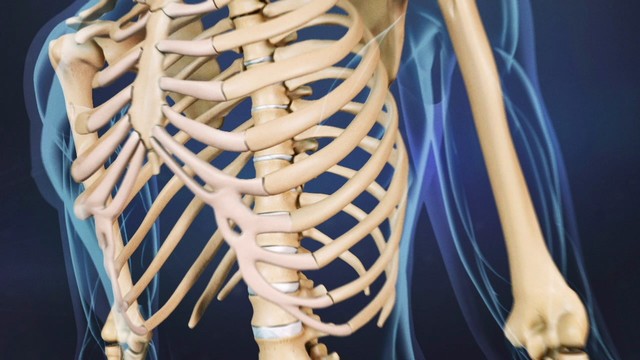 bai-viet/tim-hieu-ve-ung-thu-di-can-xuong.html