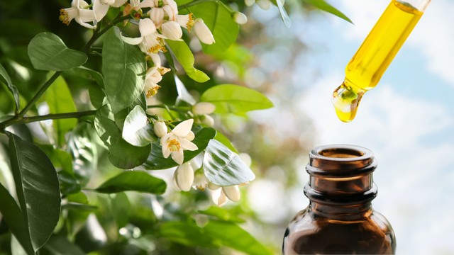 bai-viet/tinh-dau-hoa-buoi-va-nhung-cong-dung-than-ky.html