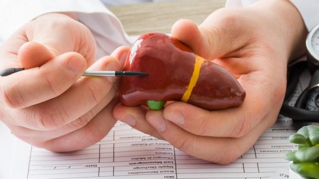 bai-viet/tinh-trang-men-gan-tang-do-dau-cac-nguyen-nhan-thuong-gap-gay-ton-thuong-gan.html