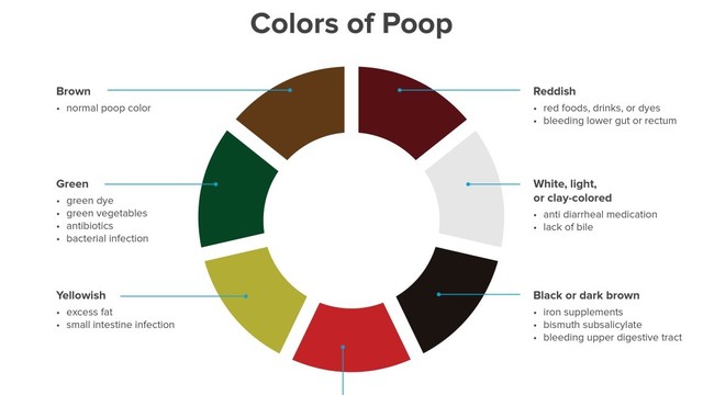 bai-viet/tinh-trang-tre-di-phan-vang-nhat-phan-anh-dieu-gi.html