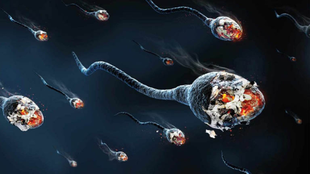 bai-viet/tinh-trung-di-dang-co-lam-iui-duoc-khong.html