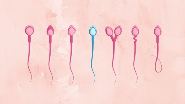 bai-viet/tinh-trung-di-dang-co-thu-thai-duoc-khong-cach-tang-kha-nang-thu-thai.html