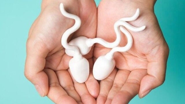 bai-viet/tinh-trung-song-duoc-bao-lau-trong-nuoc-yeu-to-anh-huong-den-thoi-gian-song-cua-tinh-trung.html