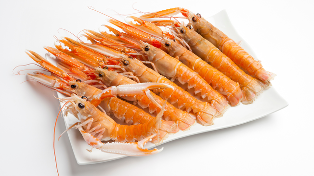 bai-viet/tom-cang-bien-co-gia-tri-dinh-duong-gi-tac-dung-cua-tom-cang-bien-doi-voi-suc-khoe.html