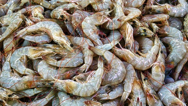 bai-viet/tom-rao-va-gia-tri-dinh-duong-cho-suc-khoe.html