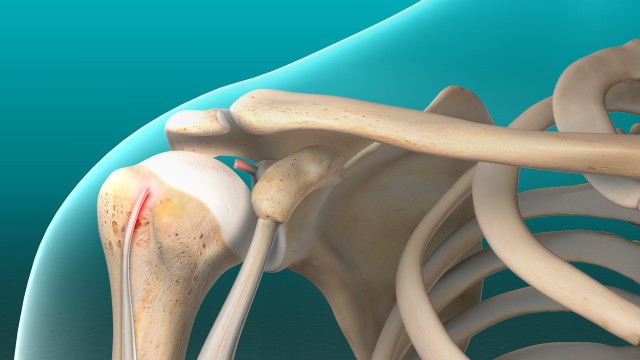 bai-viet/ton-thuong-gan-nhi-dau-la-gi-dau-hieu-va-nguyen-nhan-thuong-gap.html