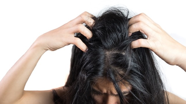 bai-viet/tong-hop-6-cach-lam-am-da-dau-vao-mua-lanh-60281.html