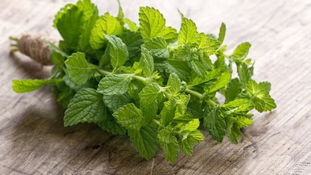 bai-viet/tong-hop-cac-loai-la-dung-de-xong-cam-hieu-qua-tai-nha.html