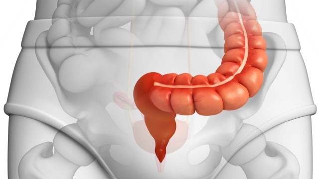 bai-viet/dau-hieu-di-vat-truc-trang-la-gi-nguyen-nhan-cach-chan-doan-va-dieu-tri.html