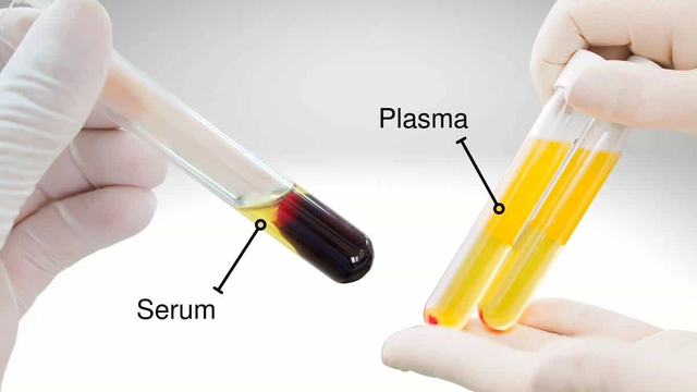 bai-viet/thong-tin-tong-quan-cach-phan-biet-huyet-thanh-va-huyet-tuong.html