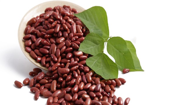 bai-viet/top-10-tac-dung-cua-dau-do-doi-voi-suc-khoe-ban-can-biet.html