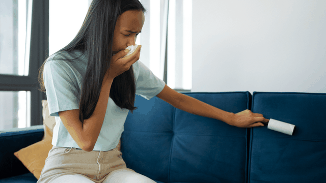 bai-viet/top-13-cach-khu-mui-formaldehyde-hieu-qua-ma-ban-khong-nen-bo-qua.html