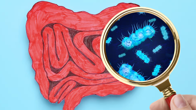 bai-viet/top-3-bi-quyet-giup-can-bang-vi-sinh-duong-ruot-de-dang-va-nhanh-chong.html