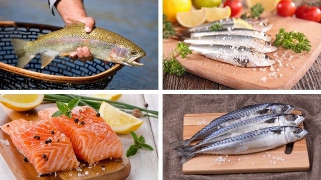 bai-viet/top-5-loai-ca-giau-dha-khong-the-thieu-trong-thuc-don-gia-dinh.html