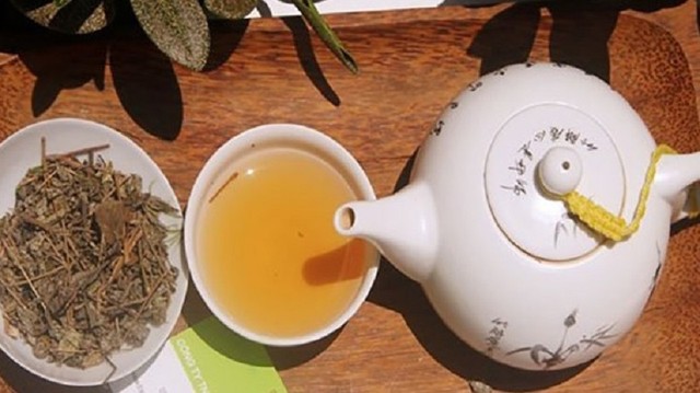 bai-viet/uong-tra-day-hang-ngay-co-tot-khong-cach-uong-tra-day-dung-va-hieu-qua.html