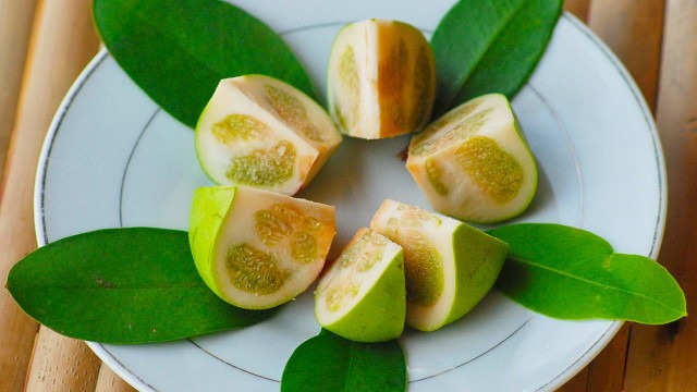 bai-viet/trai-ban-co-chua-duoc-ung-thu-phoi-51901.html