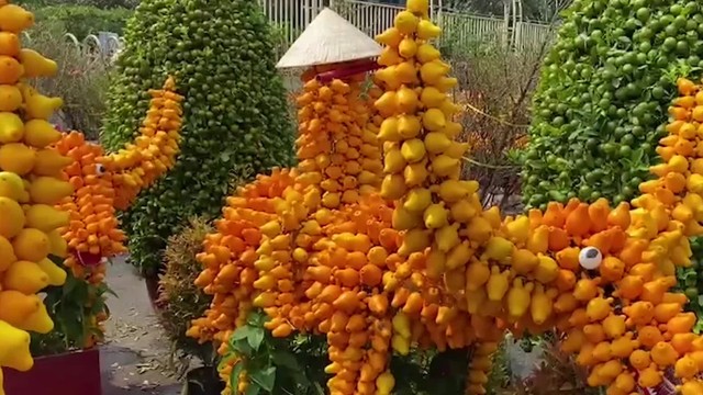 bai-viet/trai-du-an-duoc-khong-cong-dung-chua-benh-cua-trai-du-khong-phai-ai-cung-biet.html