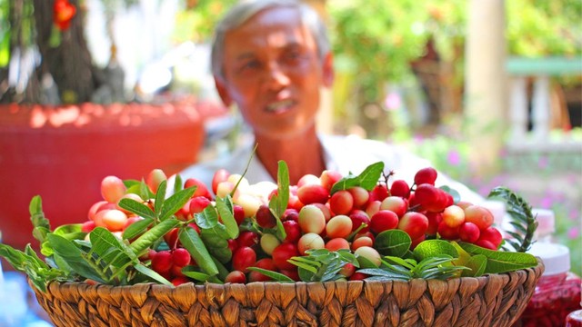 bai-viet/trai-siro-an-duoc-khong-kham-pha-loi-ich-va-dinh-duong-cua-trai-siro.html