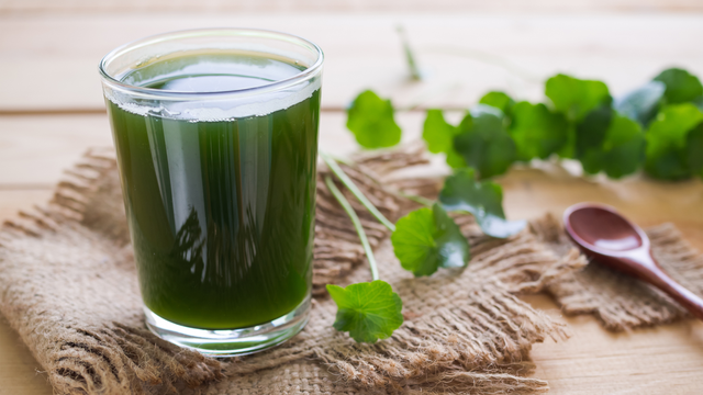 bai-viet/trao-nguoc-da-day-uong-rau-ma-duoc-khong-lieu-luong-va-cach-su-dung.html