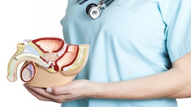 bai-viet/triet-san-nam-co-anh-huong-gi-khong.html