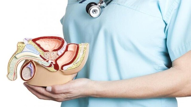 bai-viet/triet-san-nam-la-gi-nhung-thong-tin-can-biet-ve-triet-san-o-nam-gioi.html