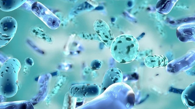 bai-viet/trieu-chung-benh-whitmore-la-gi-cach-dieu-tri-va-phong-ngua-benh.html