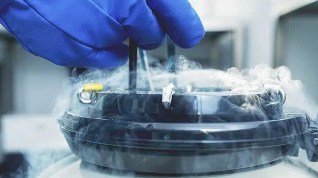 bai-viet/tru-dong-noan-la-gi-quy-trinh-va-chi-phi-thuc-hien.html