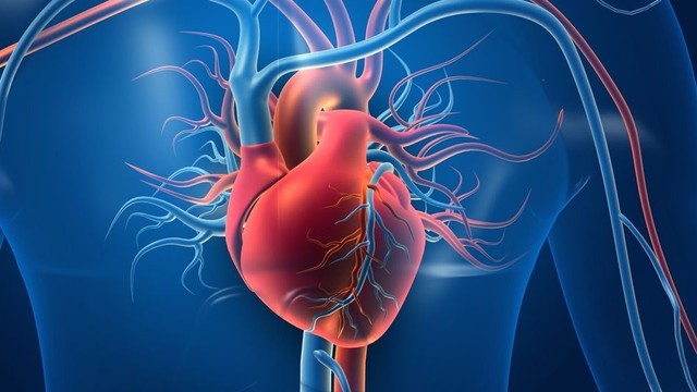 bai-viet/truong-hop-nao-can-chup-mach-vanh-qua-da.html