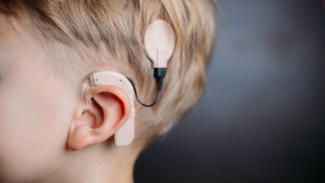 bai-viet/tuoi-tho-cua-oc-tai-dien-tu-nhung-yeu-to-quyet-dinh.html